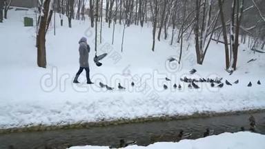 在冬天的公园里，坐在雪地里的鸽子中间散步的女人
